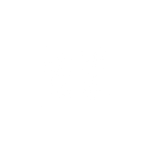 Partner logo 3