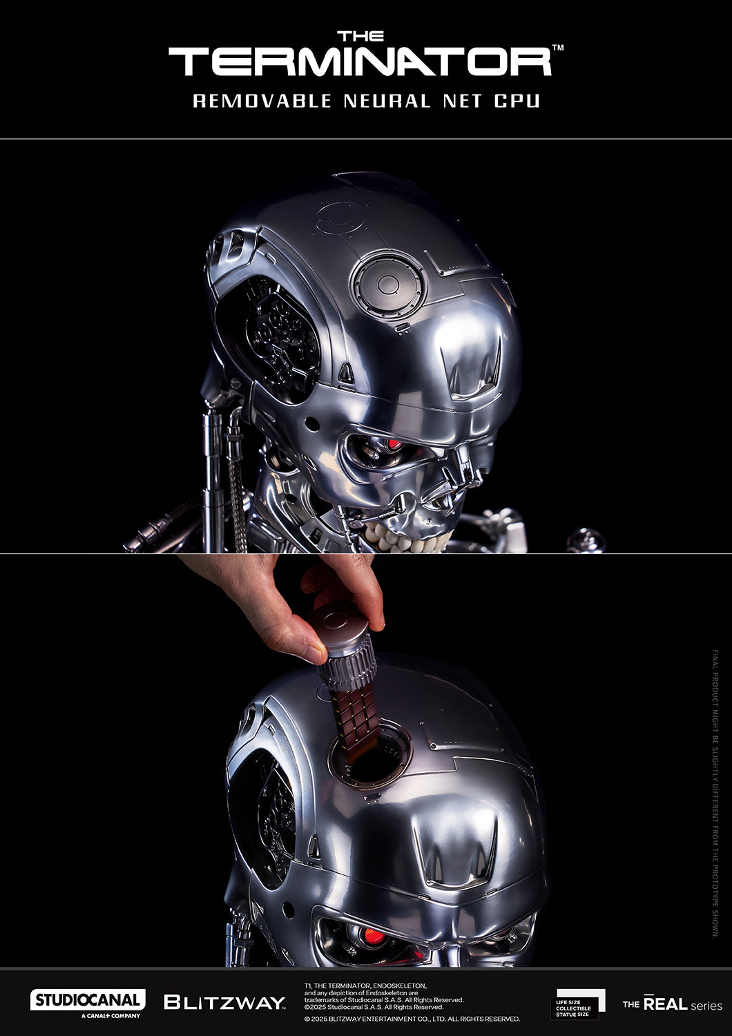 T-800 Endoskeleton Skull