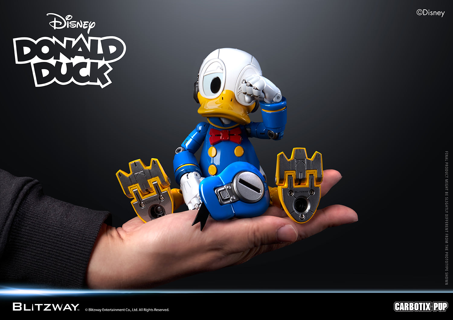 Donald_Duck_10.jpg?v=