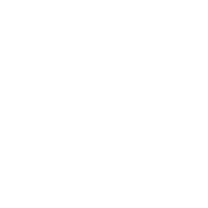 Partner logo 1