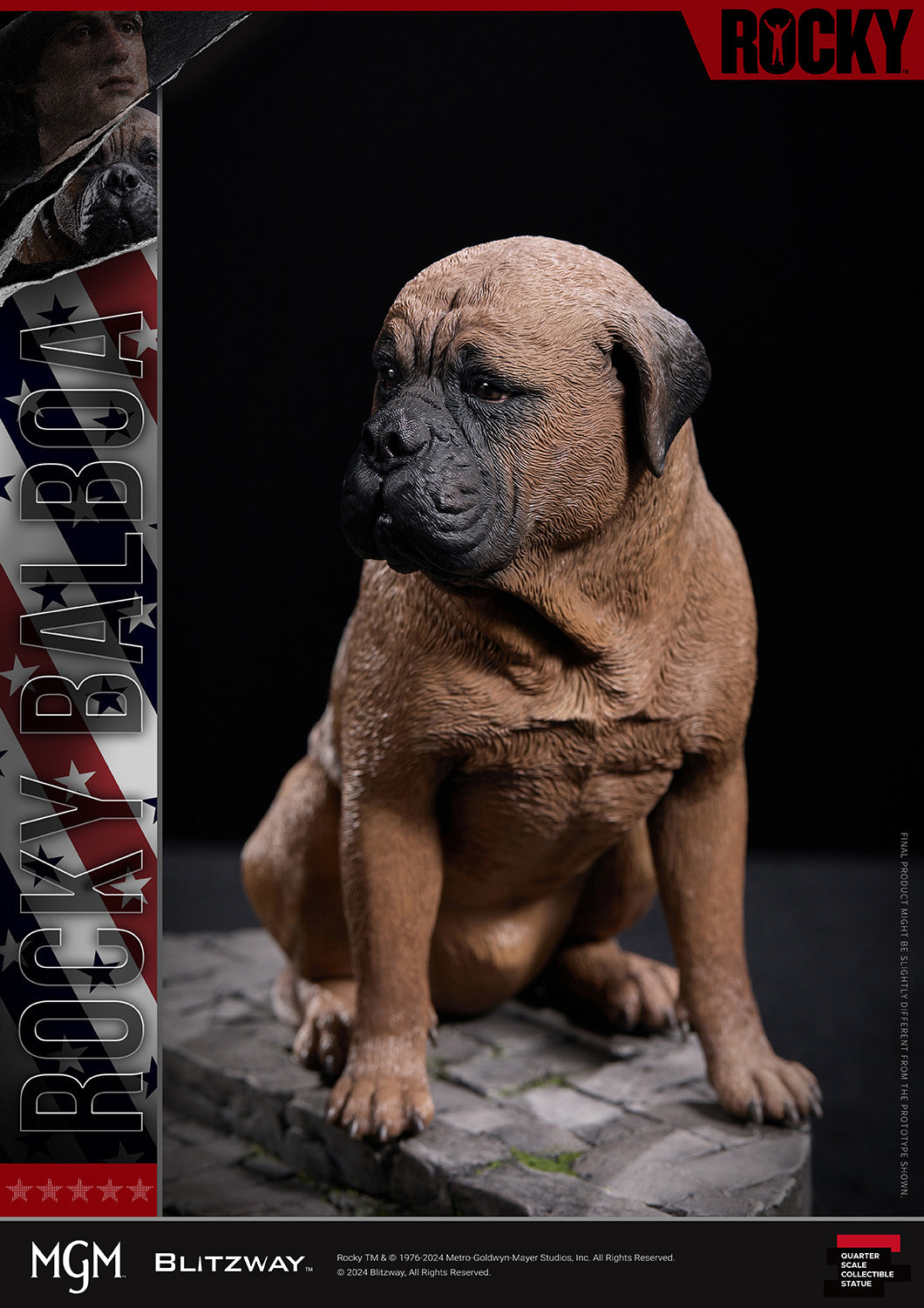 Blitzway Rocky 1976 1/4 scale statue butkus-2